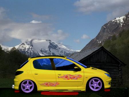 Peugeot 206 Tuning